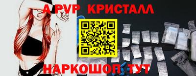 стаф Новоалександровск