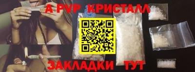 стаф Новоалександровск