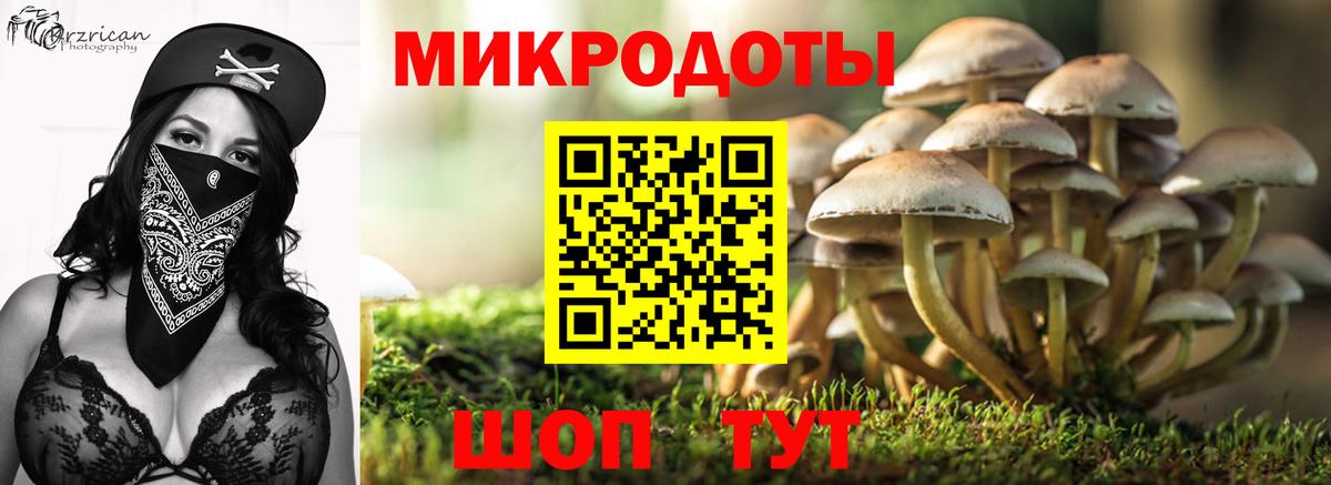 Брянск  Галлюциногенные грибы мицелий  Вход с VPN 